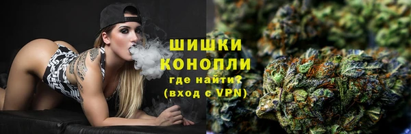 PSILOCYBIN Киренск