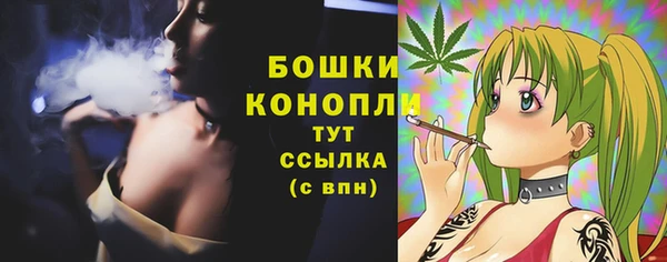 индика Киреевск