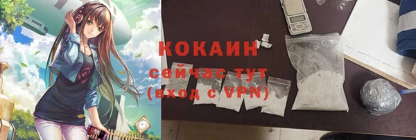 индика Киреевск