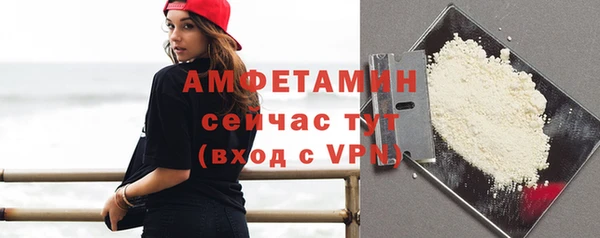 индика Киреевск