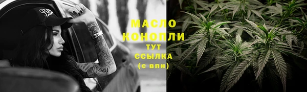 индика Киреевск