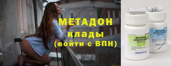 индика Киреевск