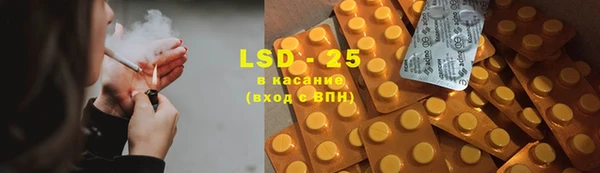 PSILOCYBIN Киренск