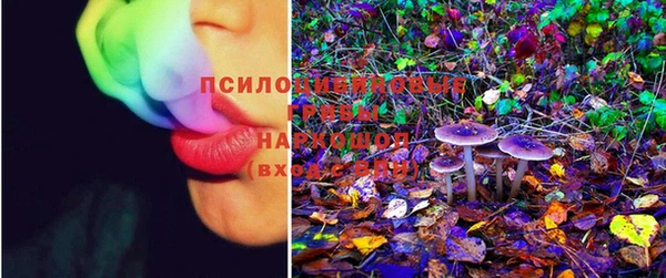 2c-b Кинешма