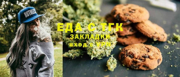 индика Киреевск