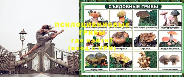 PSILOCYBIN Киренск