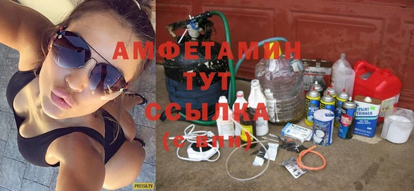 индика Киреевск