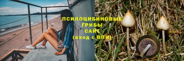 индика Киреевск