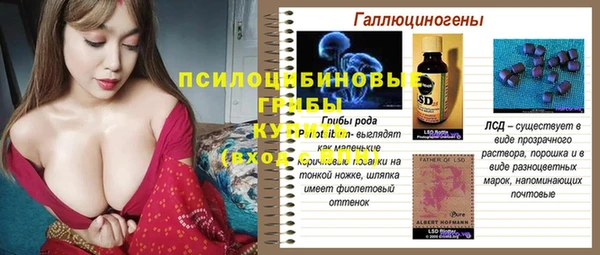 индика Киреевск