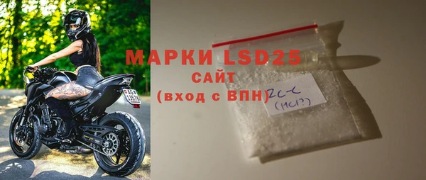 индика Киреевск