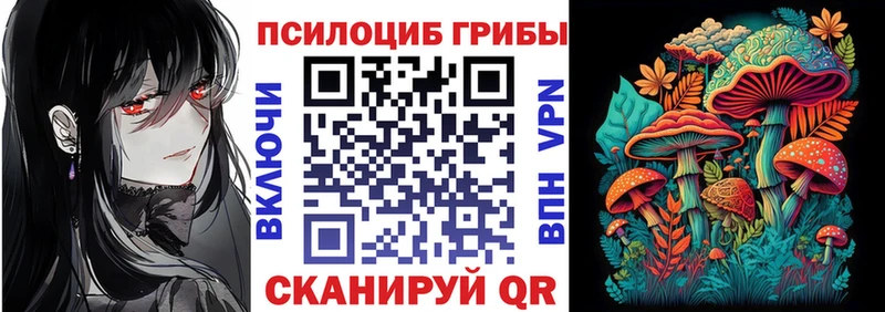 Купить где  Зеленогорск  Псилоцибиновые грибы MAGIC MUSHROOMS 